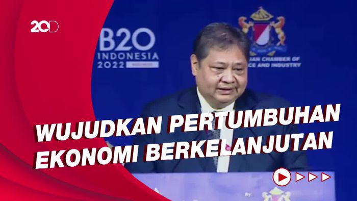 Airlangga Dorong Menteri APEC Dukung Transisi Hijau & Transfer Teknologi