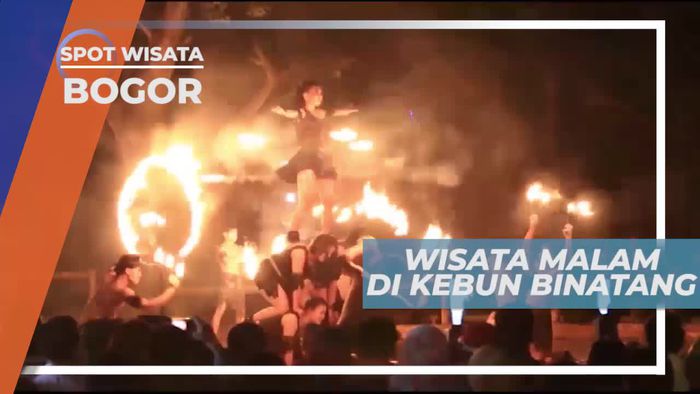 Uji Adrenalin Dengan Wisata Malam Hari di Kebun Binatang Bogor
