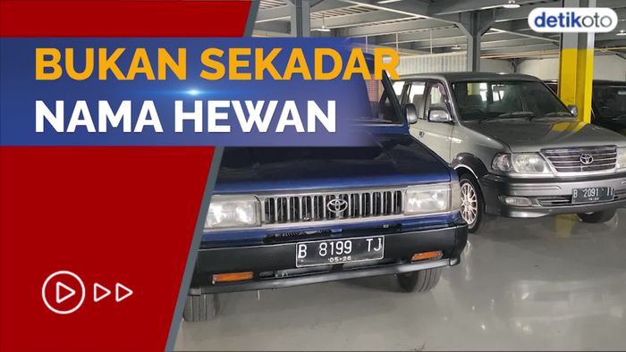 Sudah Tahu Belum? Ini Arti dan Kepanjangan Toyota Kijang