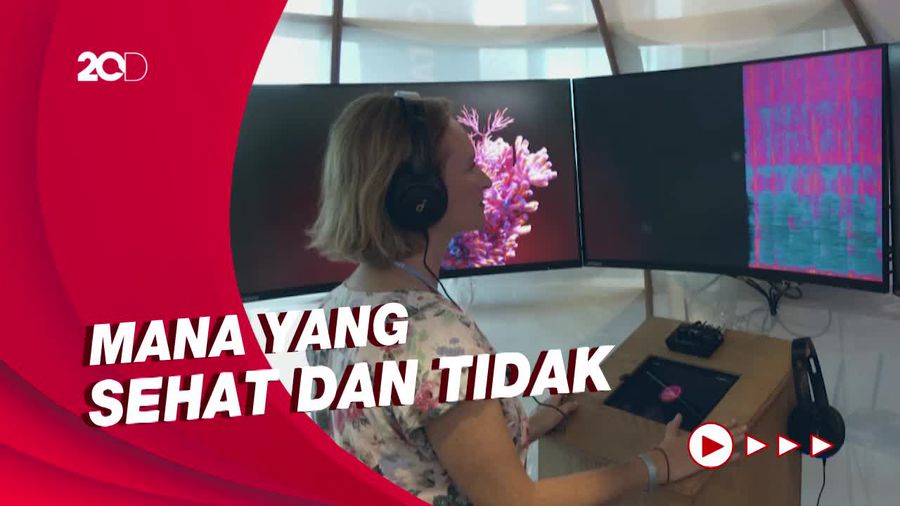 Mendengarkan Suara Terumbu Karang