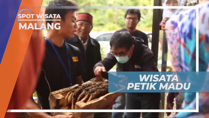 Melihat Lika-liku Memanen Madu di Wisata Agro Tawon, Malang