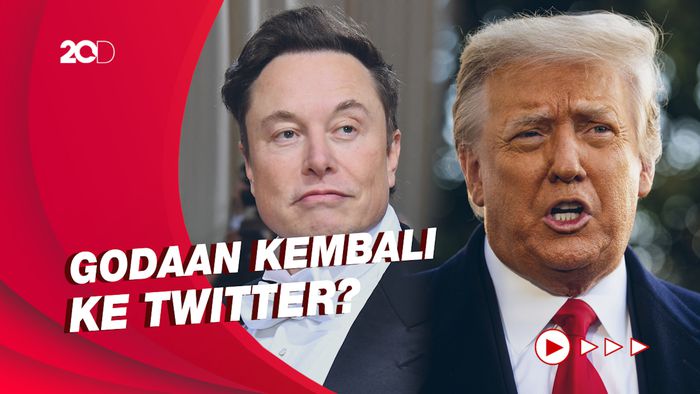 Saat Elon Musk Singgung Donald Trump Pakai Meme Mesum