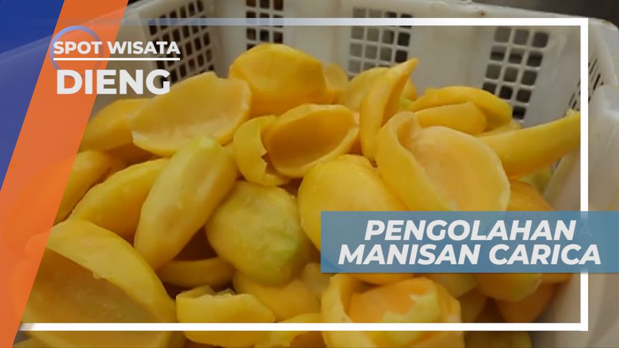Menikmati Olahan Manis Legit Si Buah Carica Khas Pegunungan Dieng