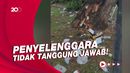31 Ton Sampah Usai Acara Relawan, Politikus PDIP: Cederai Wibawa Jokowi