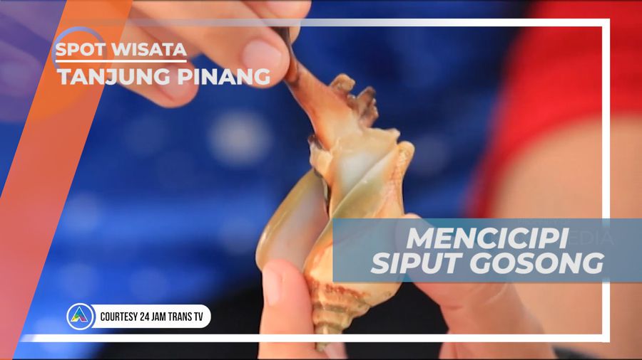 Daging Tebal Siput Gongsong yang Lezat, Tanjung Pinang