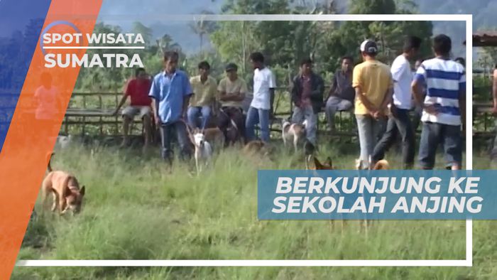 Liburan Seru di Taman Wisata Budaya Sekolah Anjing, Sumatera Barat