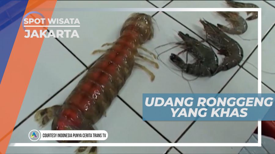 Menyantap Lezatnya Olahan Kuliner Berbahan Udang Ronggeng yang Nikmat, Jakarta