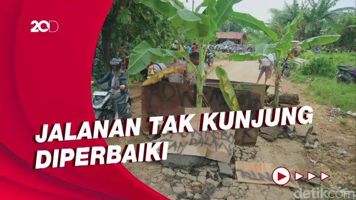 Protes Jalan Rusak, Warga Pati Tanam Pohon Pisang di Tengah Jalan