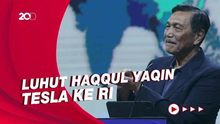 Luhut Makin Gencar Rayu Tesla Masuk RI: Mereka Mau Lari ke Mana?