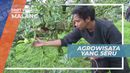 Menikmati Berbagai Aktivitas Seru di Kusuma Agro Wisata, Kota Malang