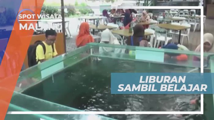 Berwisata Sambil Belajar di Eco Green Park Kota Batu Jawa Timur