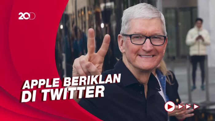 Buah Manis Pertemuan Elon Musk dan CEO Apple Tim Cook