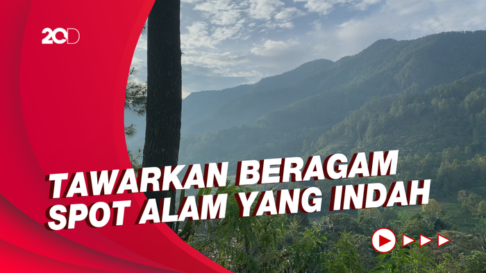Melihat Pesona Hutan Pinus di Harangan Girsang Paradise Simalungun