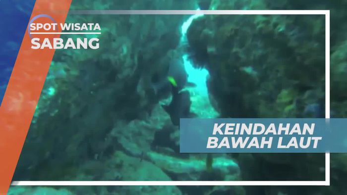 Menikmati Panorama Indah Bawah Laut Sabang