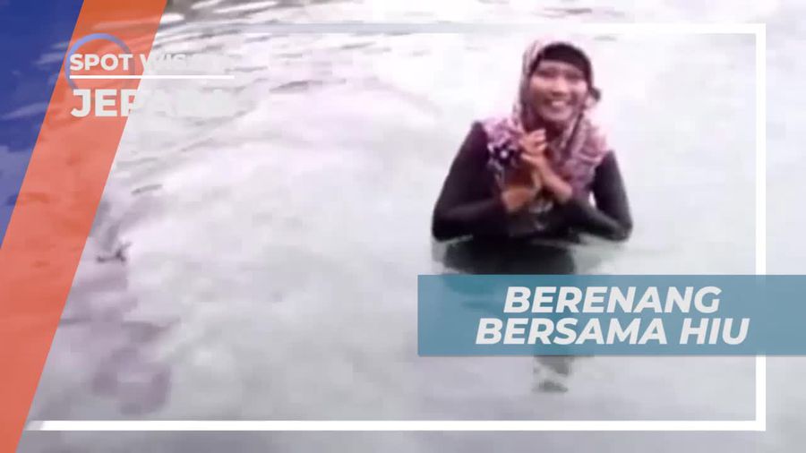 Memacu Adrenalin Berenang Dengan Ikan Hiu di Pulau Menjangan Besar Karimun Jawa