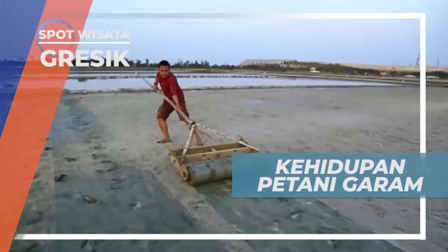 Kisah Kehidupan Seorang Petani Garam Di Gresik, Jawa Timur