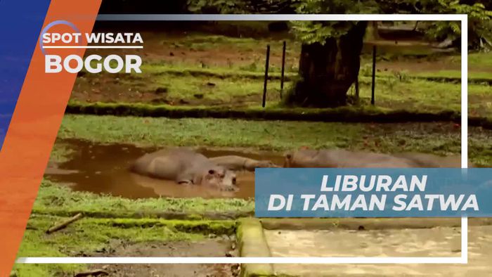 Berkunjung ke Kebun Binatang di Bogor Jawa Barat