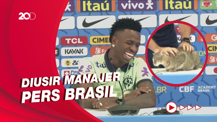 Momen Kocak Kucing Ganggu Vinicius Jr saat Jumpa Pers