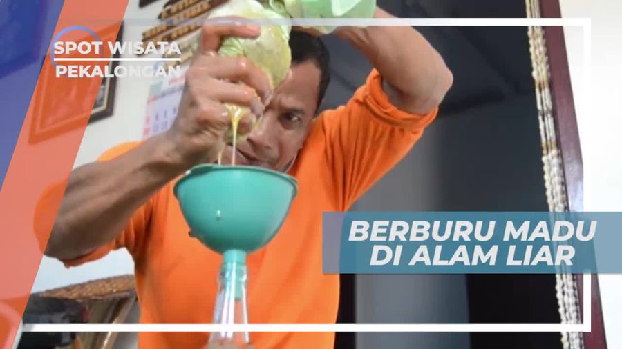 Berburu Madu di Alam Liar, Pekalongan Jawa Tengah