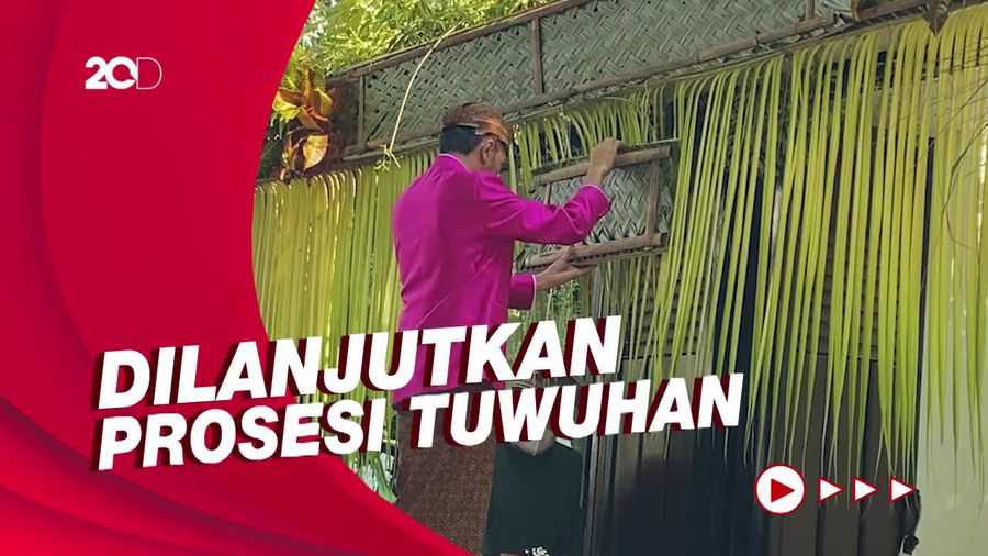 Momen Jokowi Pasang Bleketepe Jelang Siraman Kaesang