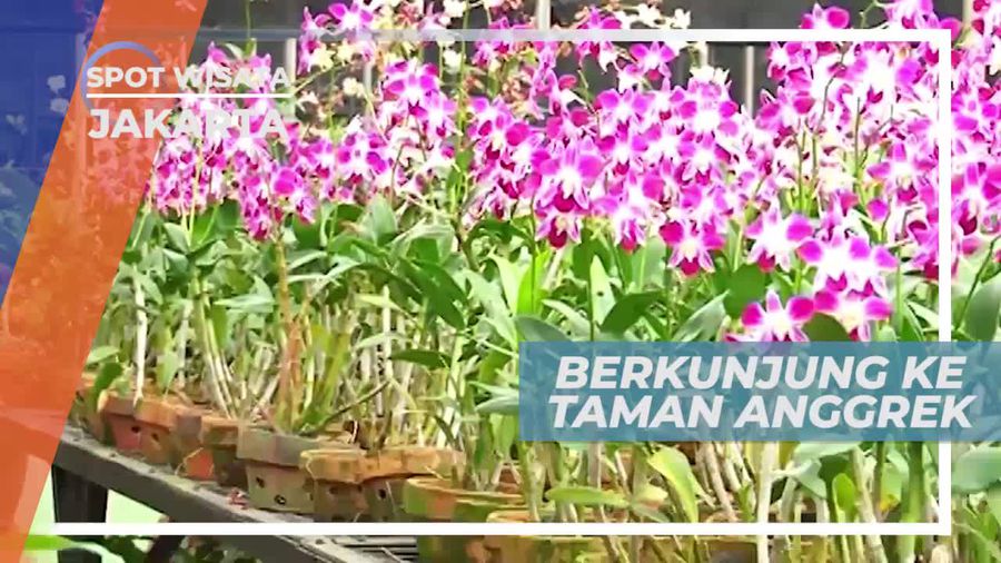 Berkunjung ke Pusat Perbelanjaan di Barat Jakarta