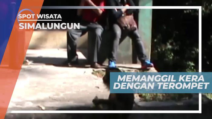 Terompet Tradisional Pemanggil Satwa, Simalungun