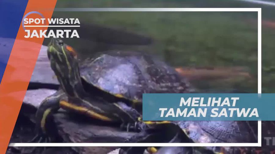 Terarium, Alam Buatan Dalam Kaca, Jakarta