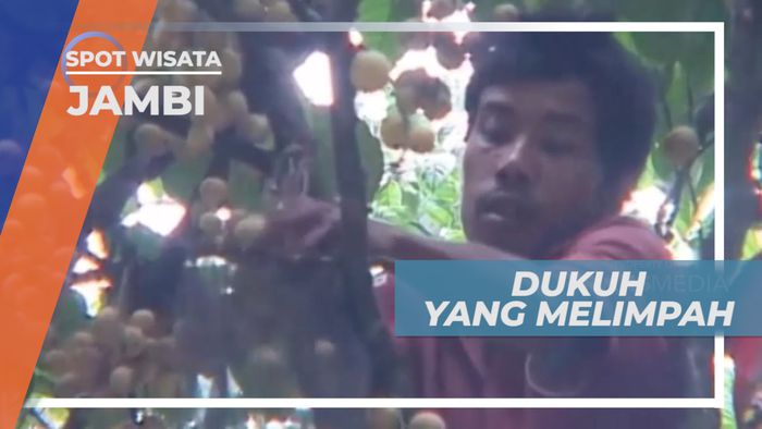 Surga Dukuh Kumpeh yang Manis, Jambi