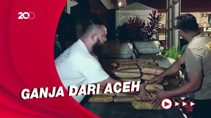 Polisi Amankan 1,3 Ton Ganja di Medan yang Akan Dibawa ke Jakarta