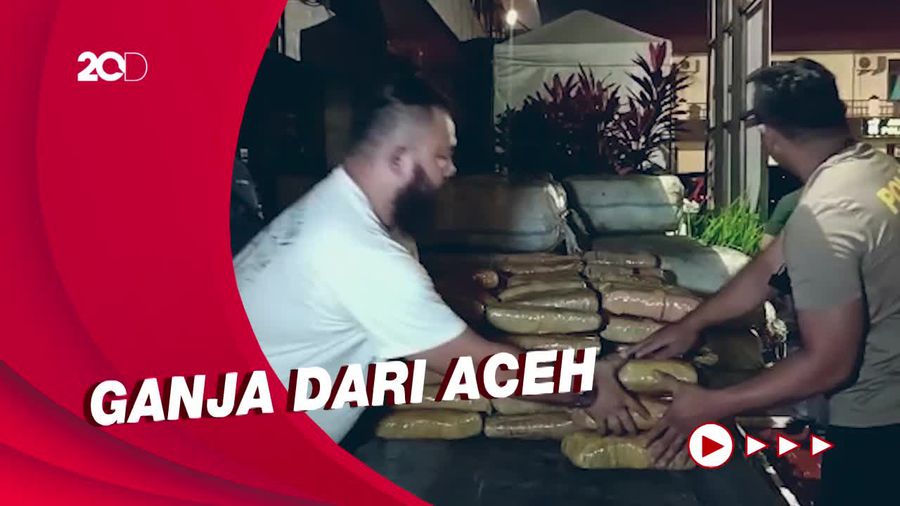 Polisi Amankan 1,3 Ton Ganja di Medan yang Akan Dibawa ke Jakarta