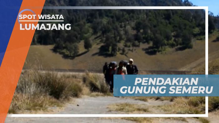 Gunung Semeru, Sensasi Mendaki Gunung Tertinggi di Pulau Jawa, Lumajang