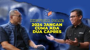 Ketum PAN: 2024 Jangan Cuma 2 Capres