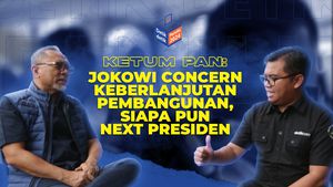 Ketum PAN: Jokowi Concern Keberlanjutan Pembangunan, Siapa Pun Next President