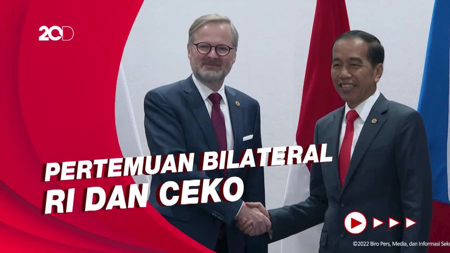 Bertemu PM Ceko, Jokowi Harap Investasi Segera Direalisasikan