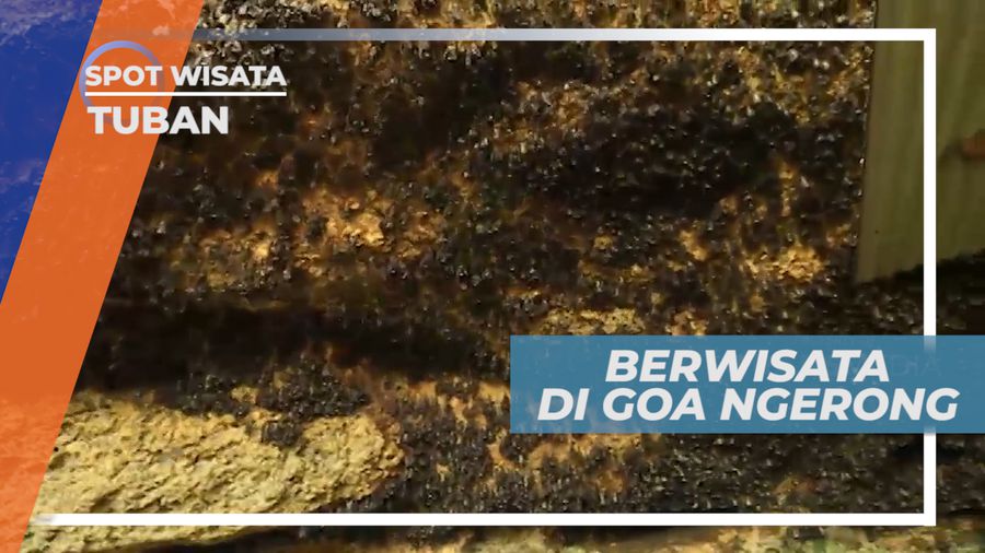 Goa Ngerong, Mitos Tersembunyi Dibalik Ribuan Ekor Kelelawar, Tuban