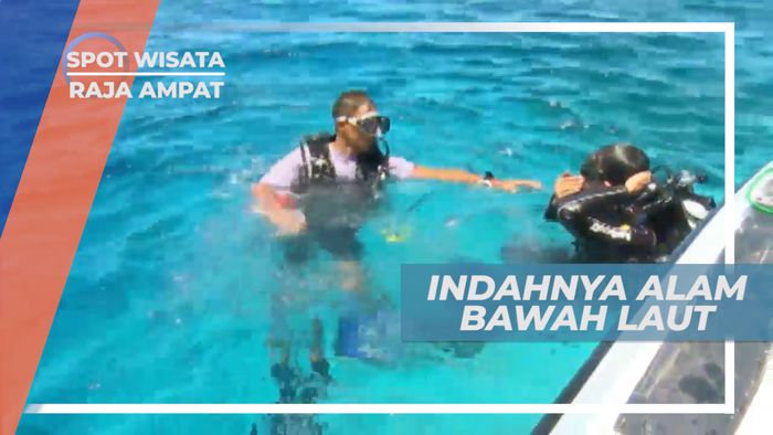 Jelajahi Indahnya Surga Bawah Laut Pulau Yenyuba, Raja Ampat