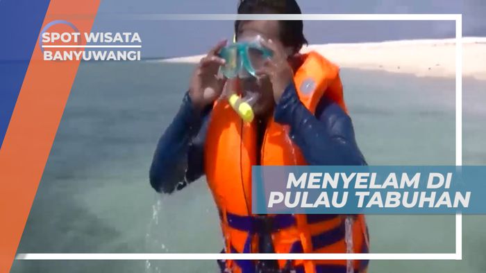 Menikmati Indahnya Surga Bawah Laut Pulau Tabunan, Banyuwangi