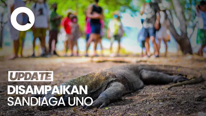 Tarif Tiket Komodo Rp 3,75 Juta Dibatalkan