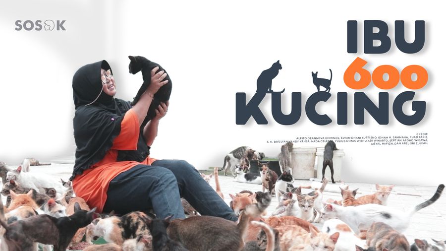 Kisah Seorang Ibu Hidup Bersama 600 Kucing Terlantar