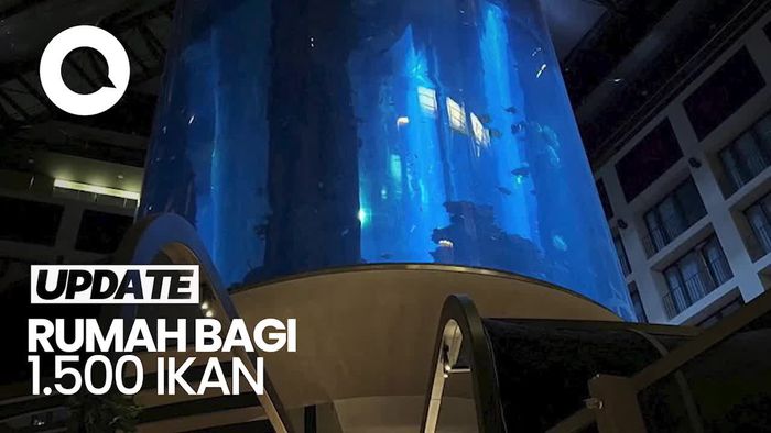 Penampakan Akuarium Raksasa di Jerman Meledak, Berisi 1 Juta Liter Air