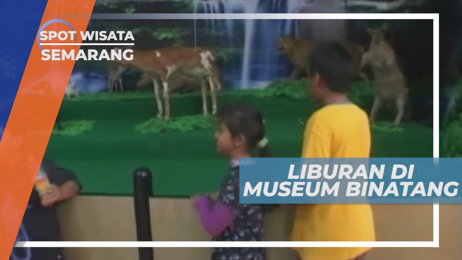 Liburan Seru, Mengunjungi Tempat Wisata Edukasi Museum Binatang, Semarang