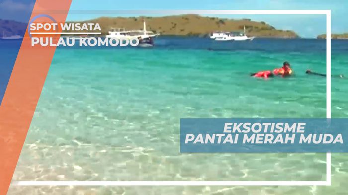 Menikmati Esotiknya Pantai Merah Muda di Pulau Komodo, Nusa Tenggara Timur