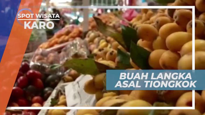 Biwa, Buah Langka Asal Tiongkok yang Ada di Indonesia, Karo Sumatera Utara     