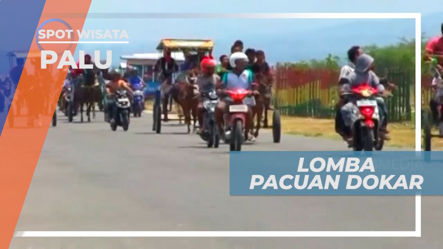Pacuan Dokar, Perlombaan Khas yang Digelar Warga Lokal, Palu