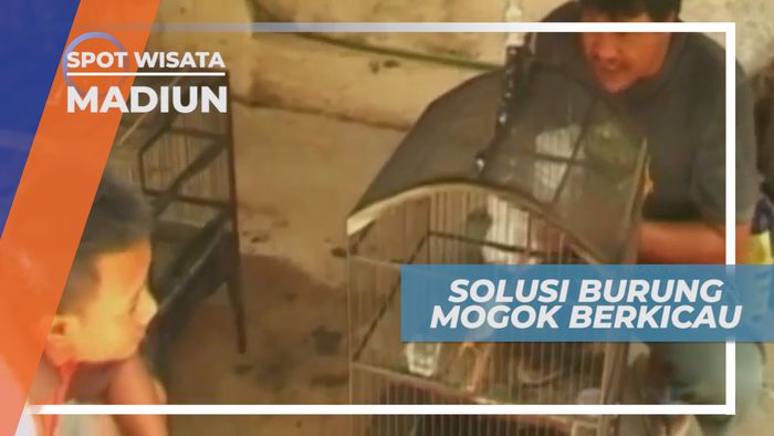 Pelatih Kicau Burung, Madiun