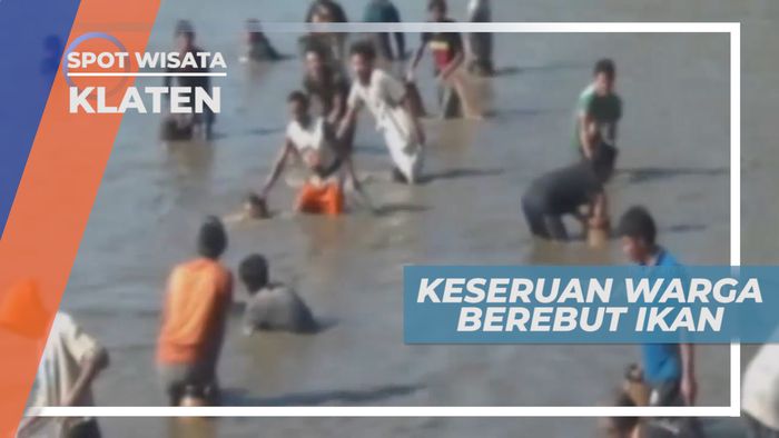 Tradisi Berebut Ikan Masyarakat Klaten