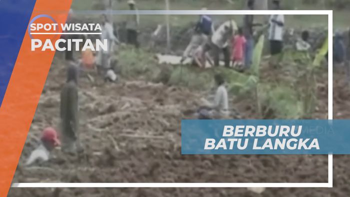 Demam Batu Mulian di Desa Donorejo Pacitan