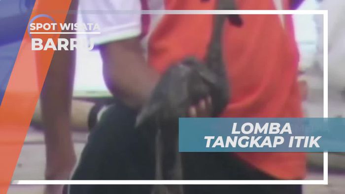 Adu Kelincahan Lomba Tangkap Itik di Pantai Kupa Sulawesi Selatan