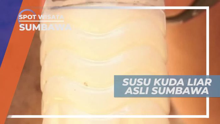 Susu Kuda Liar Asli Sumbawa Nusa Tenggara Barat