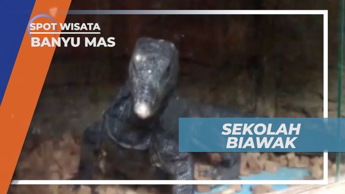 Sekolah Unik di Banyumas, Muridnya Khusus Biawak